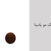 نمایندگی فروش عمده رنگ مو پادینا - کاتالوگ رنگ مو پادینا