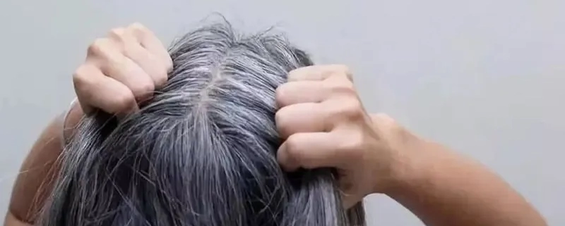 پوشش موهای سفید با رنگ موی والانسی Valancy